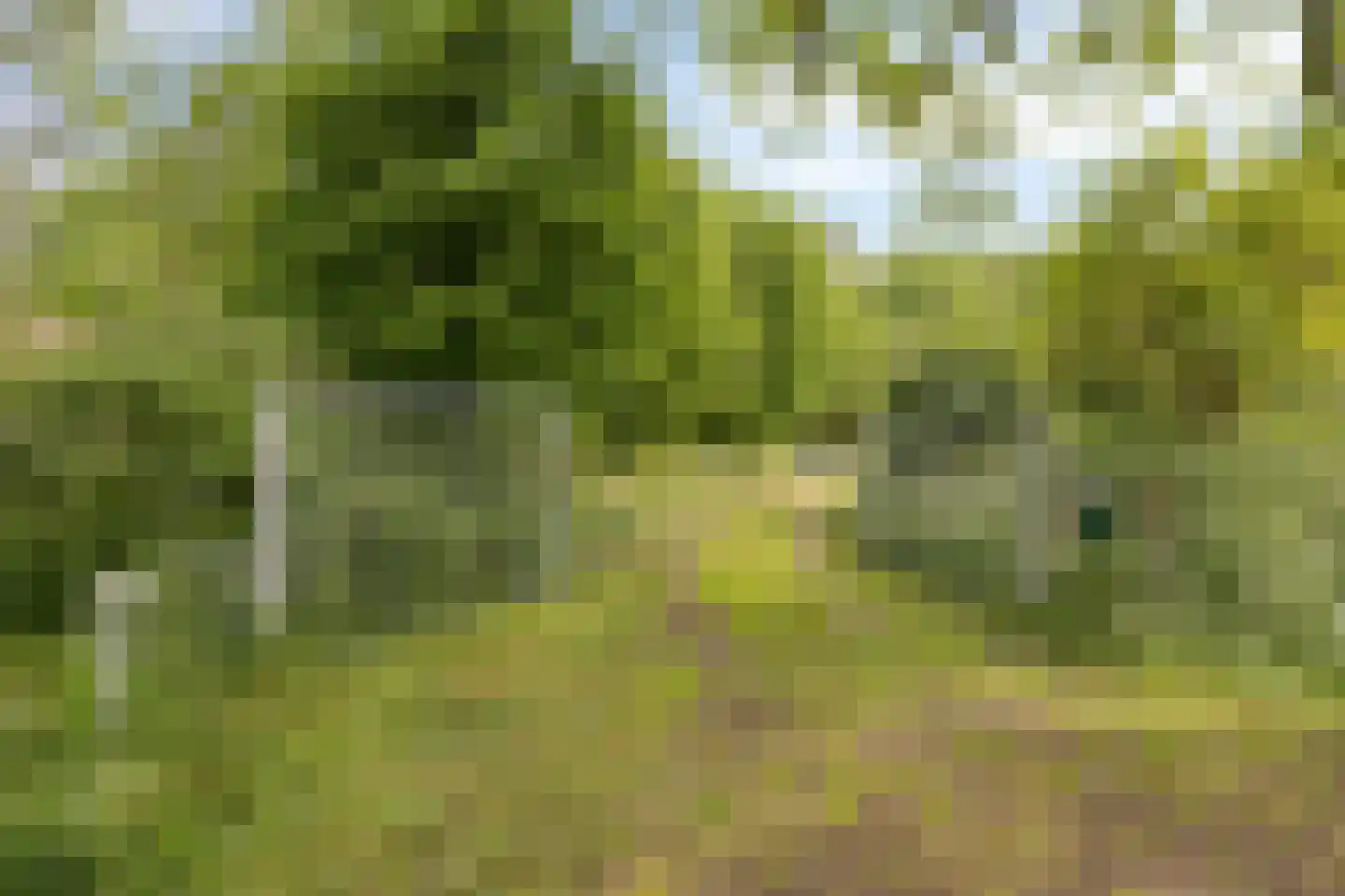 Kempseweg 15 Boxtel thumbnail 44