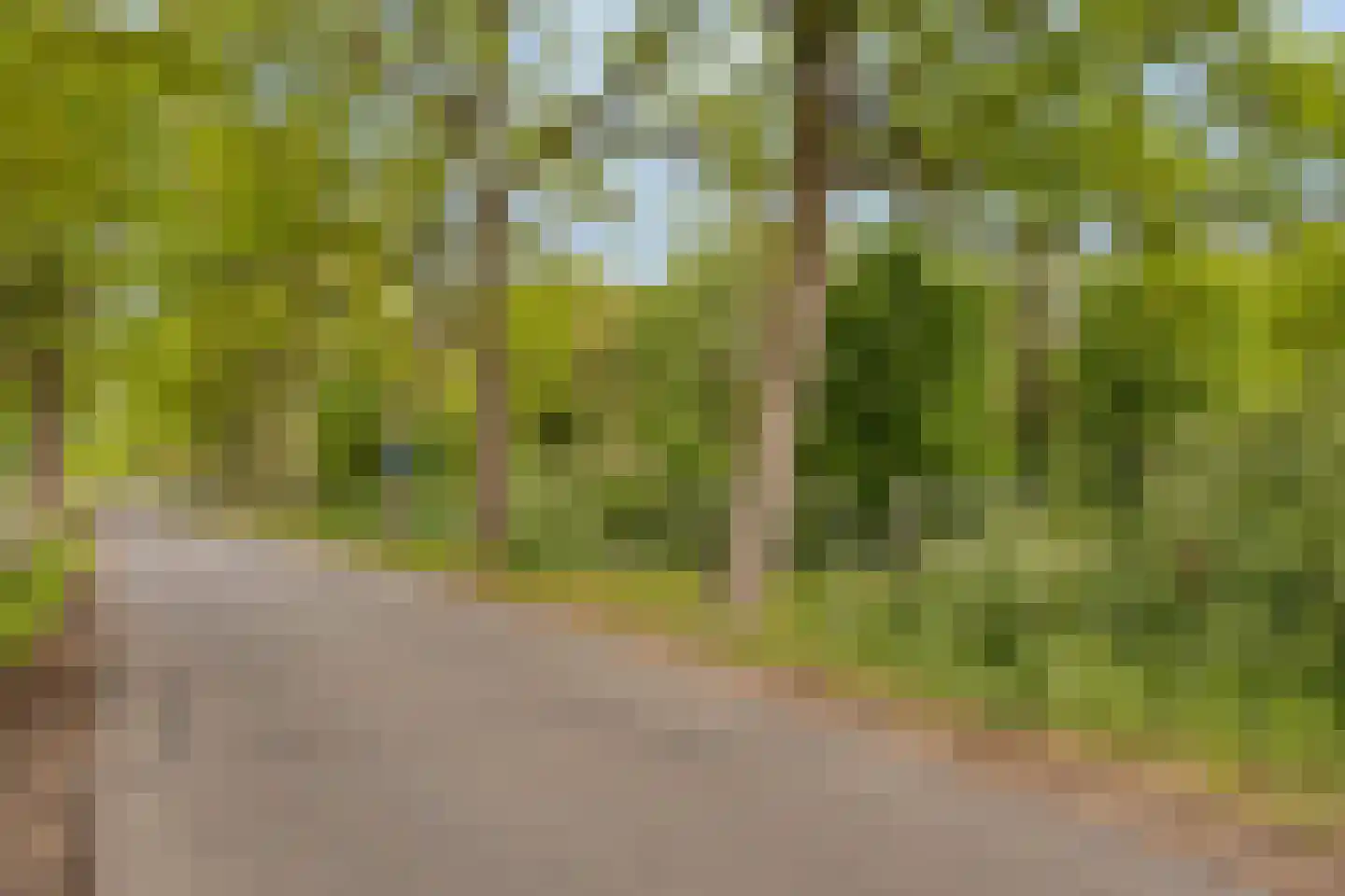 Kempseweg 15 Boxtel thumbnail 45