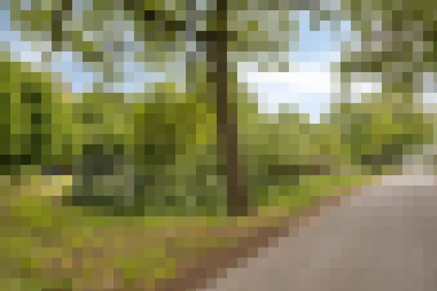 Kempseweg 15 Boxtel thumbnail 46