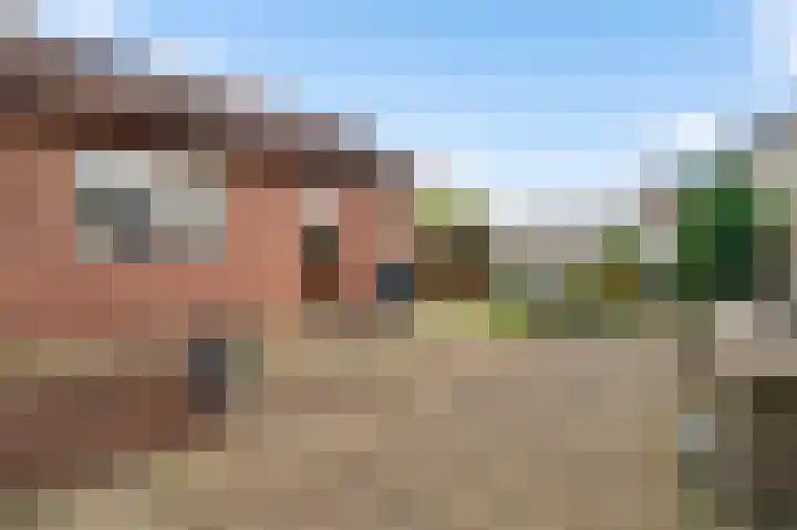 Kempweg 16 Maasbracht thumbnail 4