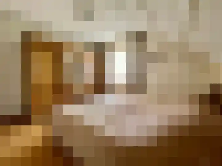 Kempweg 3 Maasbracht thumbnail 28