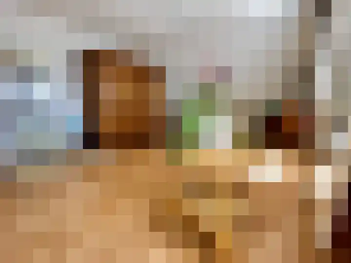 Kempweg 3 Maasbracht thumbnail 30