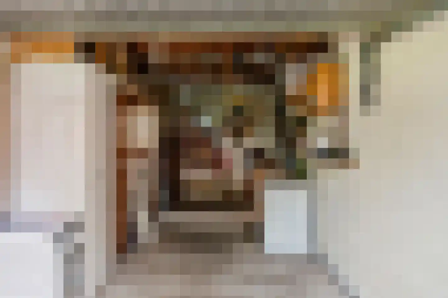 Kempweg 5 Maasbracht thumbnail 35