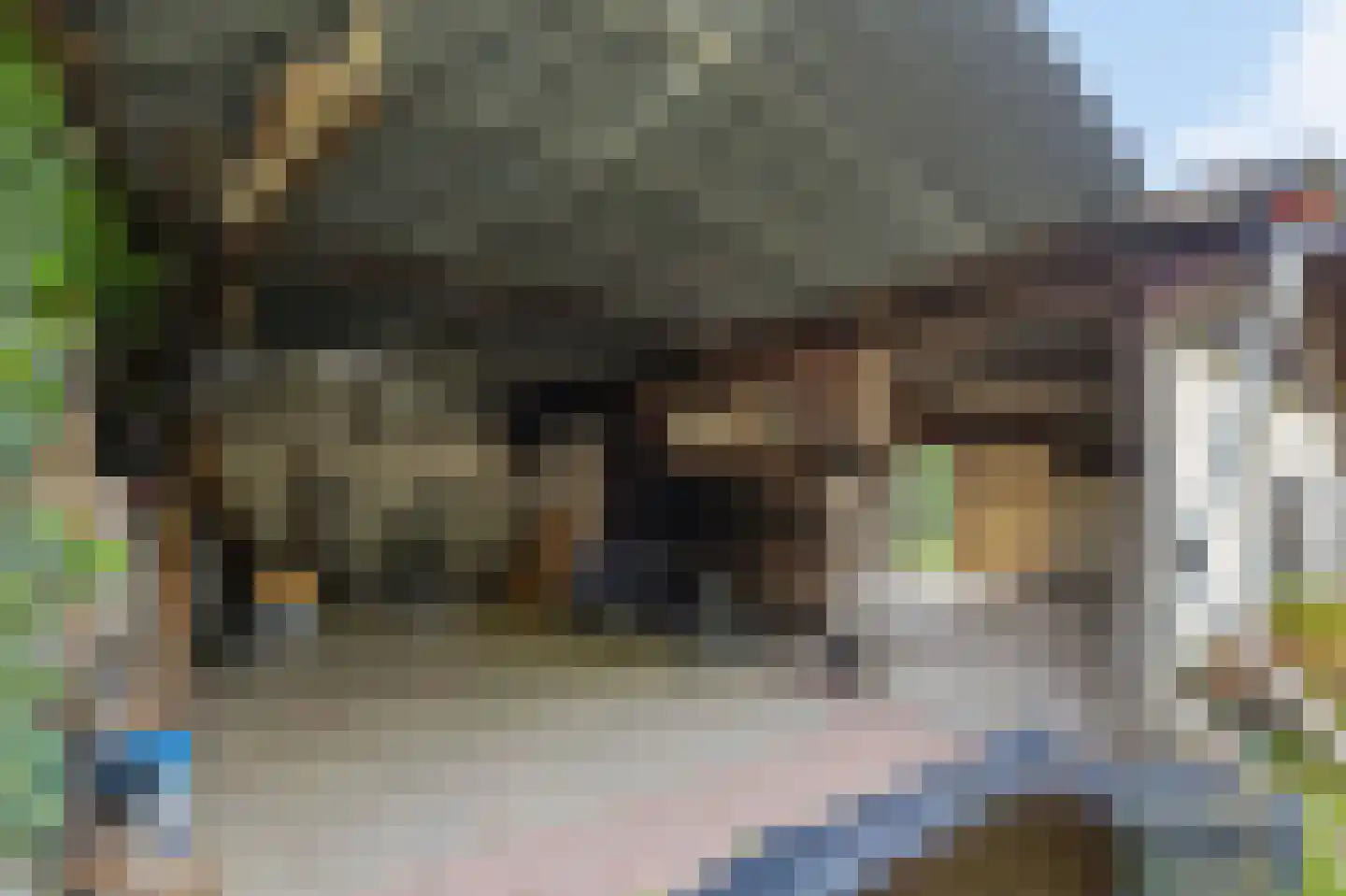 Kempweg 5 Maasbracht thumbnail 38