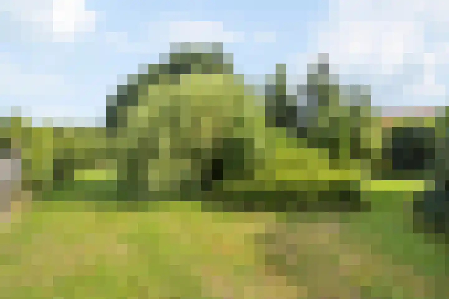 Kempweg 5 Maasbracht thumbnail 39