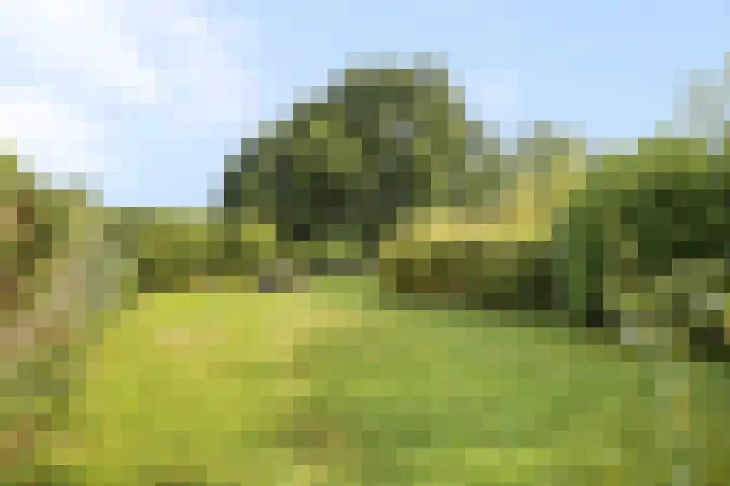 Kempweg 5 Maasbracht thumbnail 40