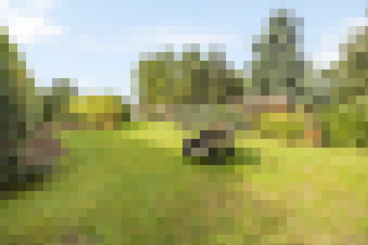 Kempweg 5 Maasbracht thumbnail 41