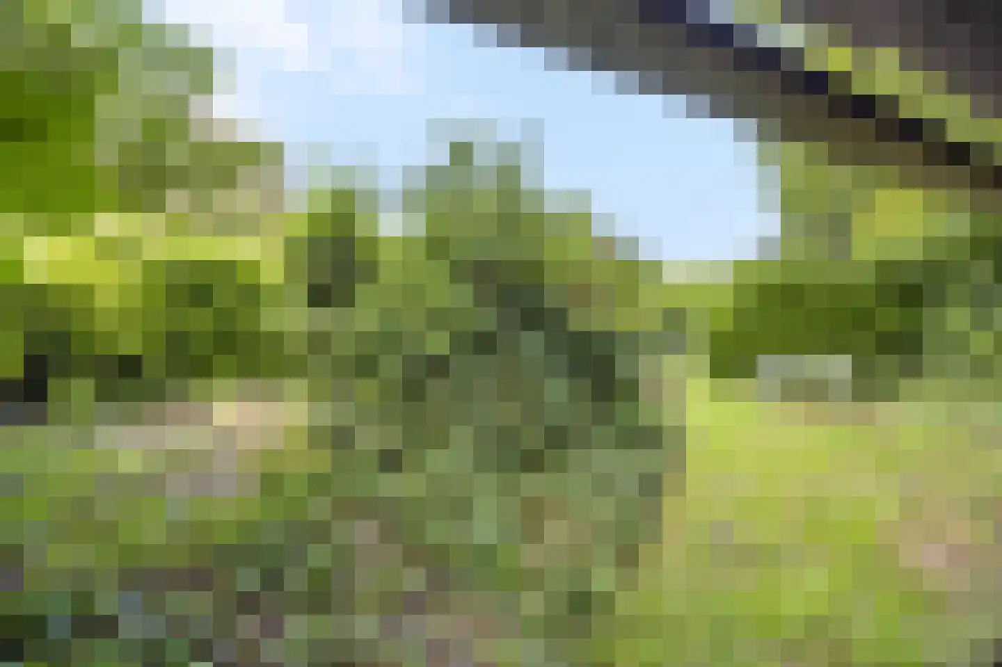 Kempweg 5 Maasbracht thumbnail 43