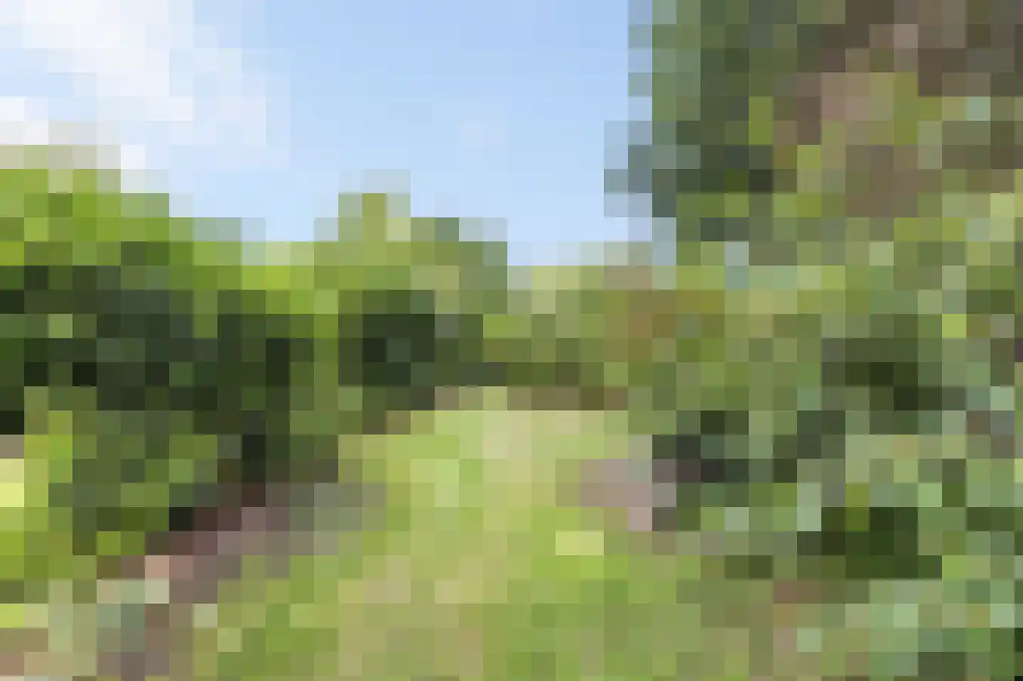 Kempweg 5 Maasbracht thumbnail 45