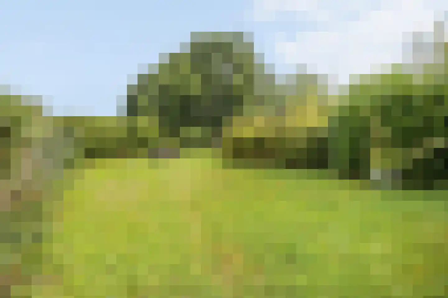 Kempweg 5 Maasbracht thumbnail 47