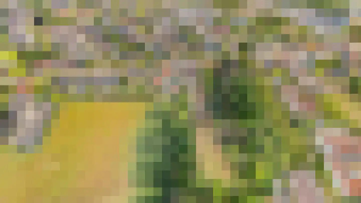 Kempweg 5 Maasbracht thumbnail 54