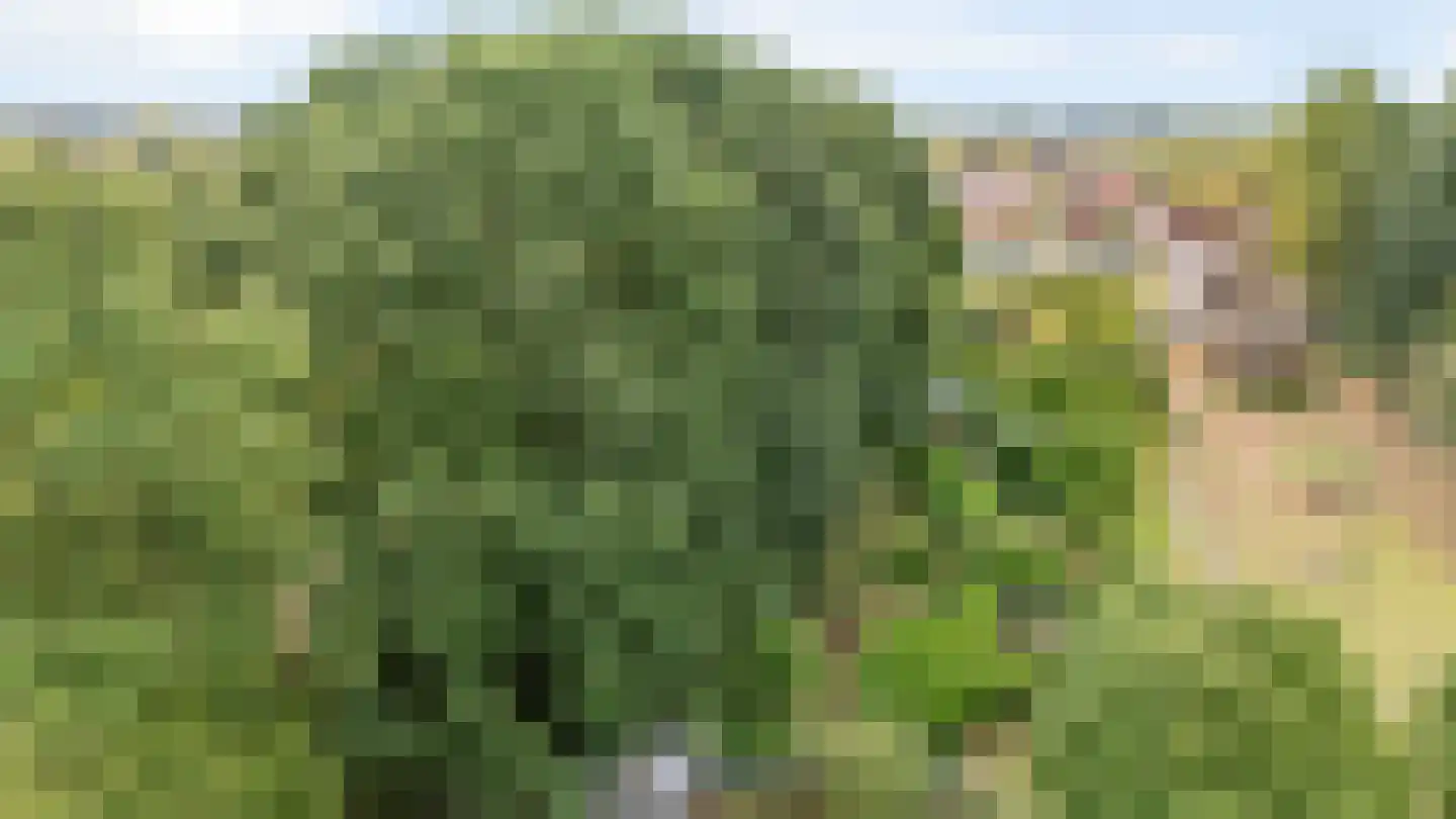 Kempweg 5 Maasbracht thumbnail 58