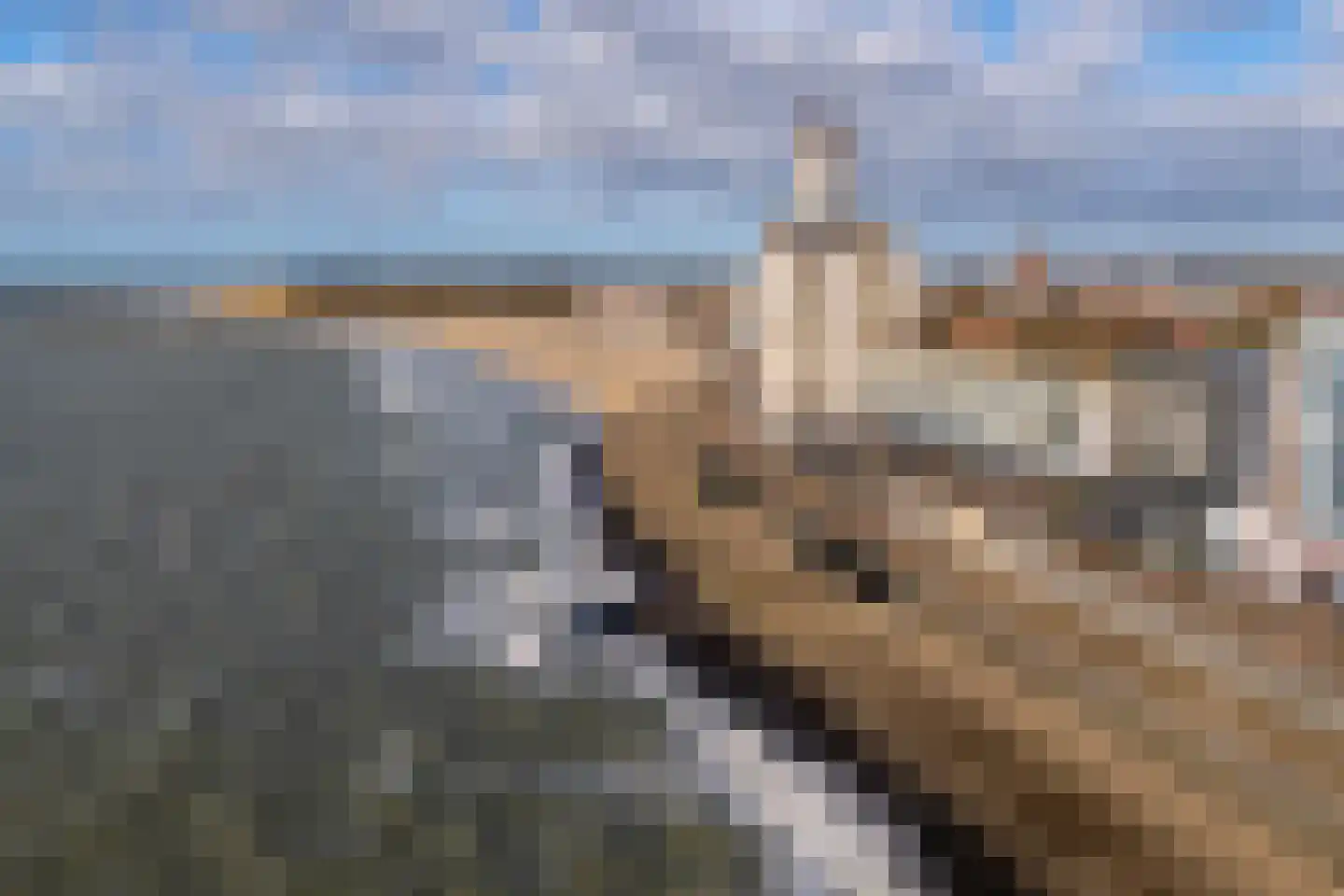 Kenau Hasselaarstraat 163 Vlissingen thumbnail 37
