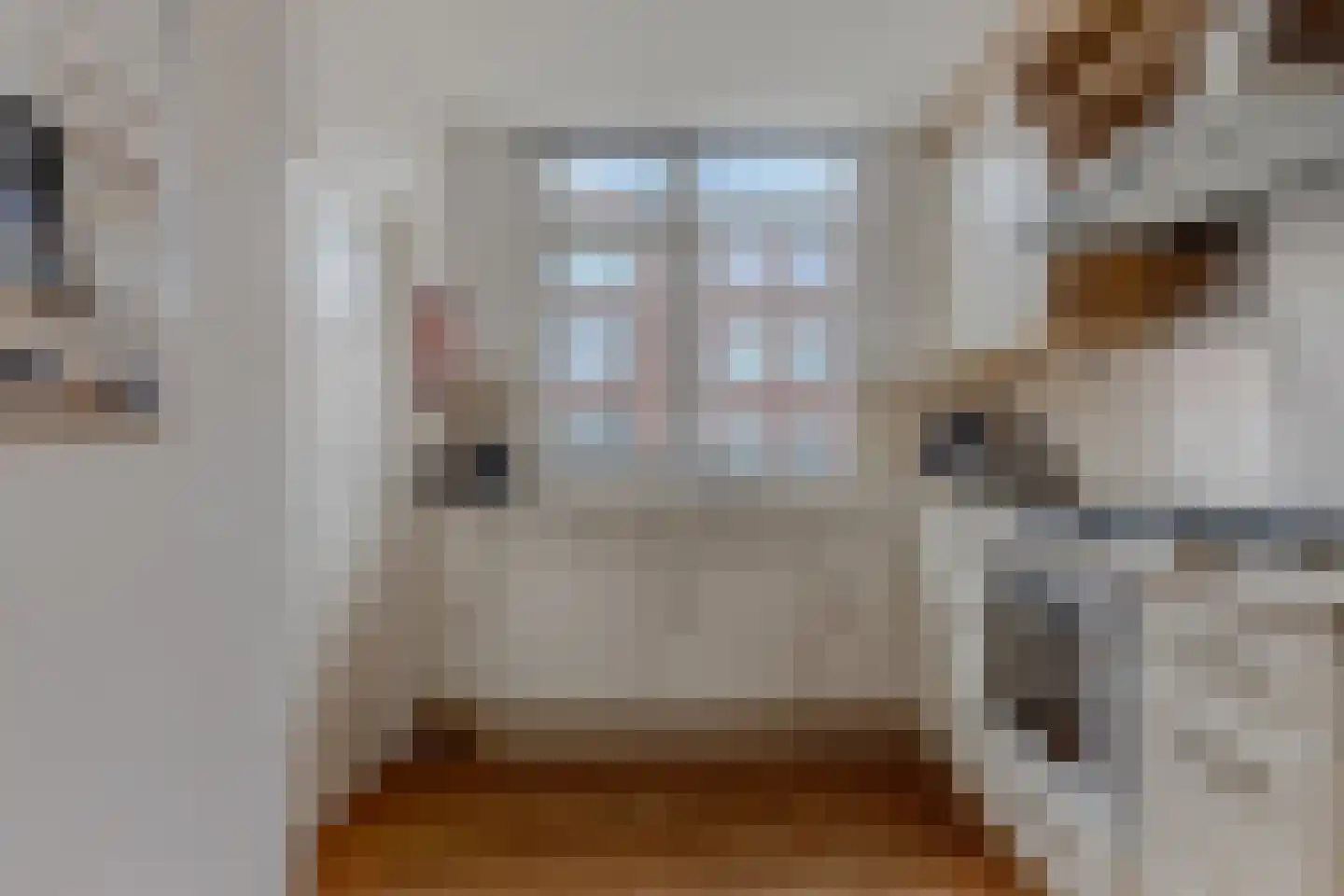 Kenau Hasselaarstraat 549 Vlissingen thumbnail 7