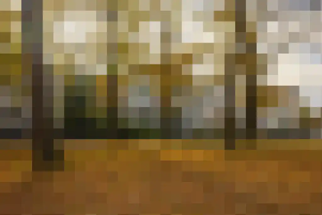 Kenaupark 16 Haarlem thumbnail 5