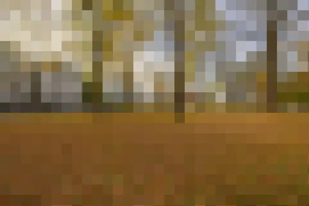 Kenaupark 16 Haarlem thumbnail 62