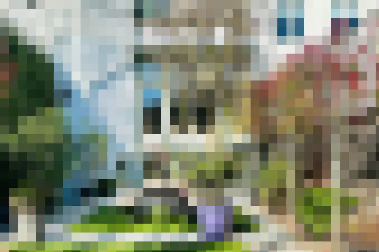 Kenaupark 25 Haarlem thumbnail 10
