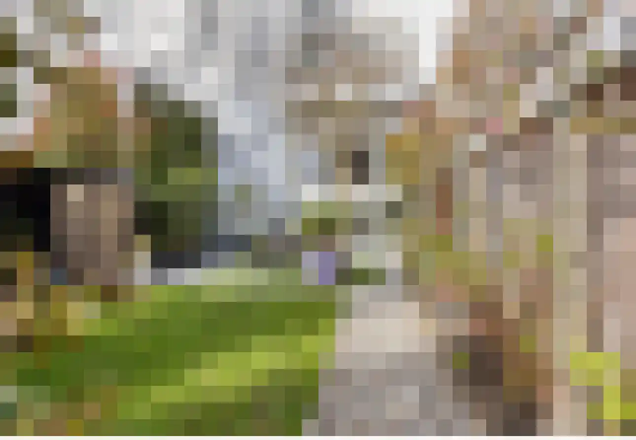 Kenaupark 25 Haarlem thumbnail 35