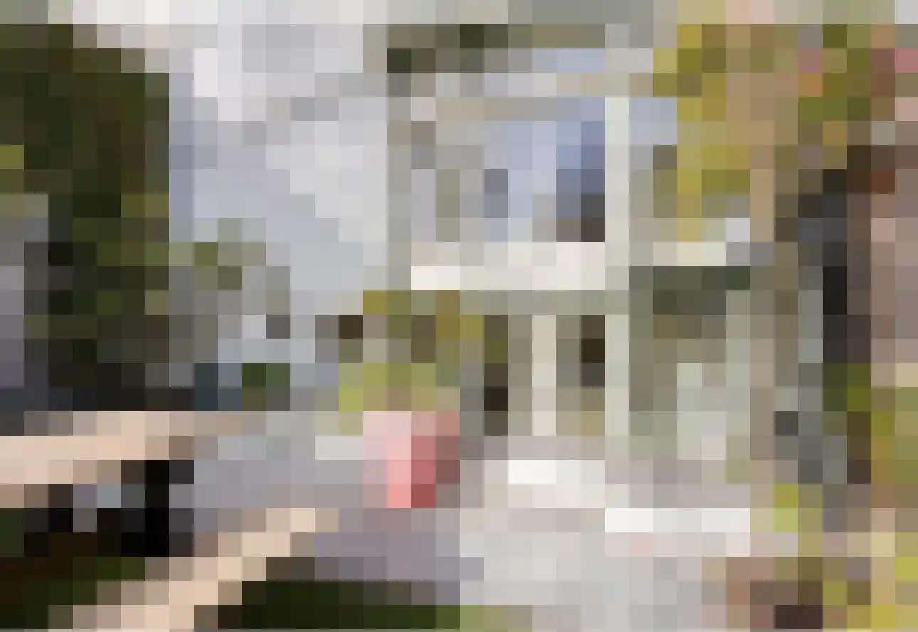 Kenaupark 25 Haarlem thumbnail 38