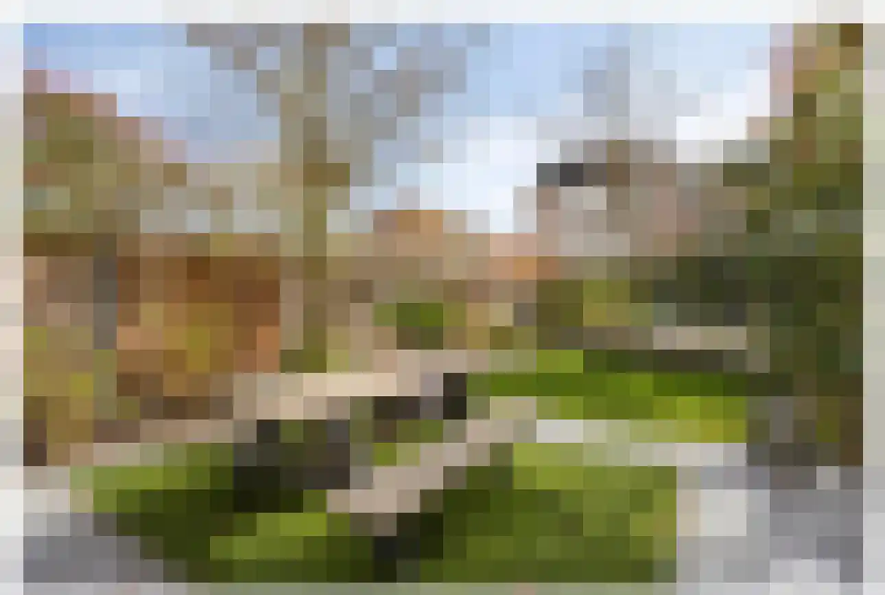 Kenaupark 25 Haarlem thumbnail 39