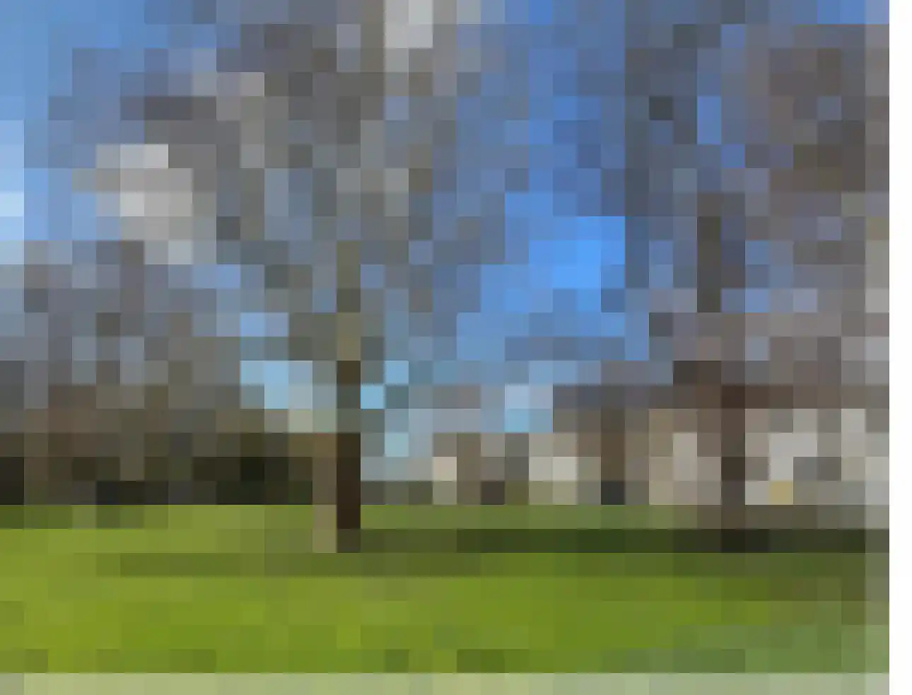 Kenaupark 25 Haarlem thumbnail 42