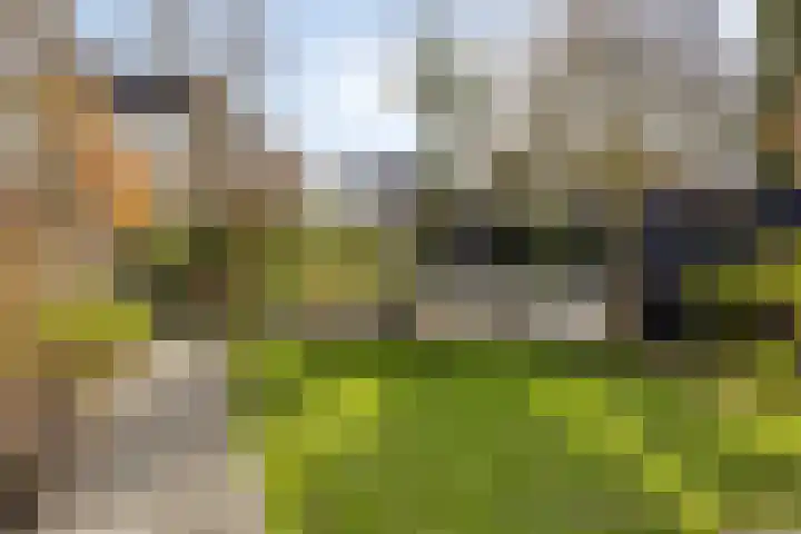 Kenaupark 25 Haarlem thumbnail 44