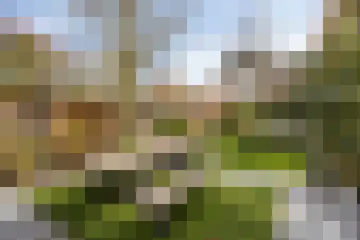 Kenaupark 25 Haarlem thumbnail 46