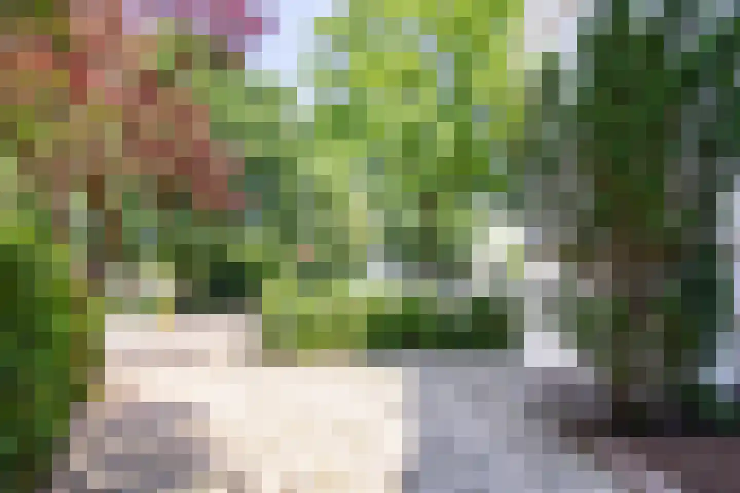 Kenaupark 26 Haarlem thumbnail 17