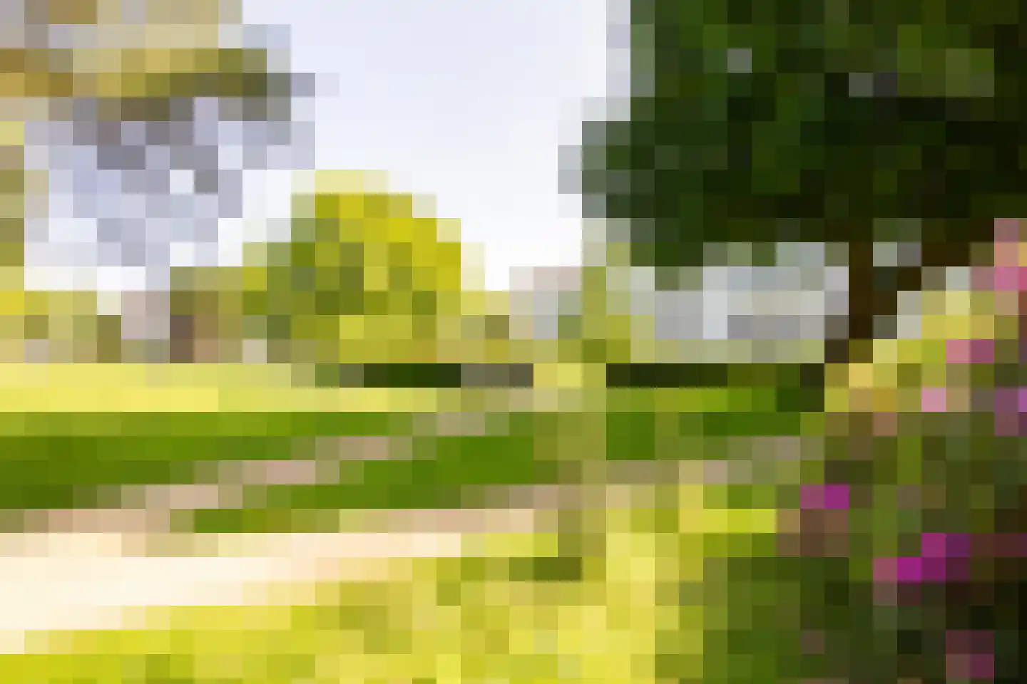 Kenaupark 26 Haarlem thumbnail 19