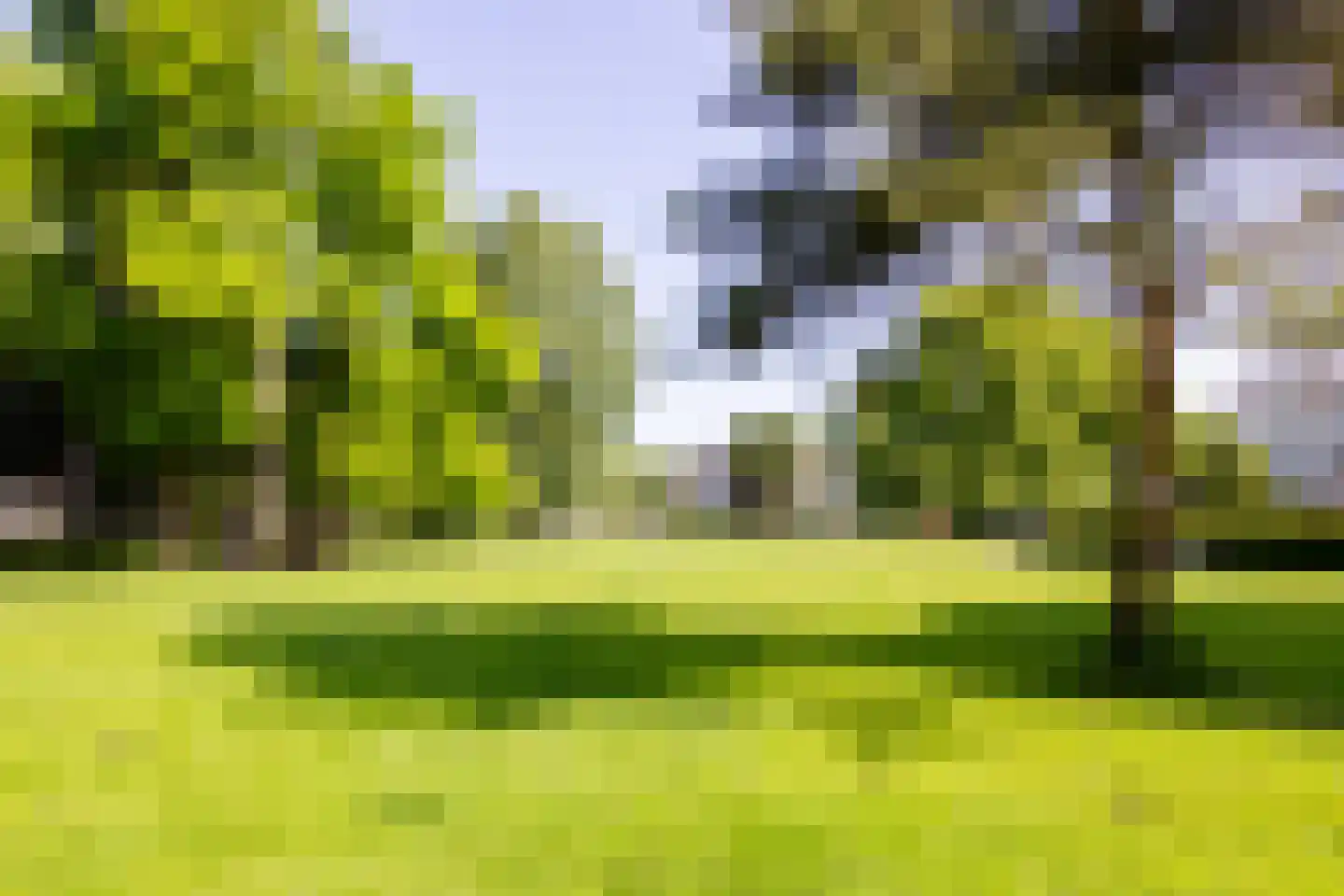 Kenaupark 26 Haarlem thumbnail 4