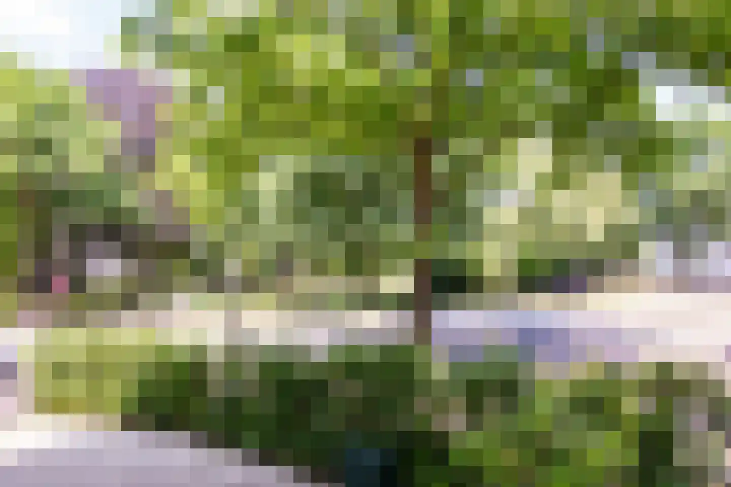 Kenaupark 26 Haarlem thumbnail 53