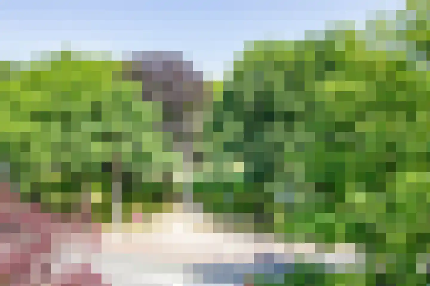Kenaupark 26 Haarlem thumbnail 54