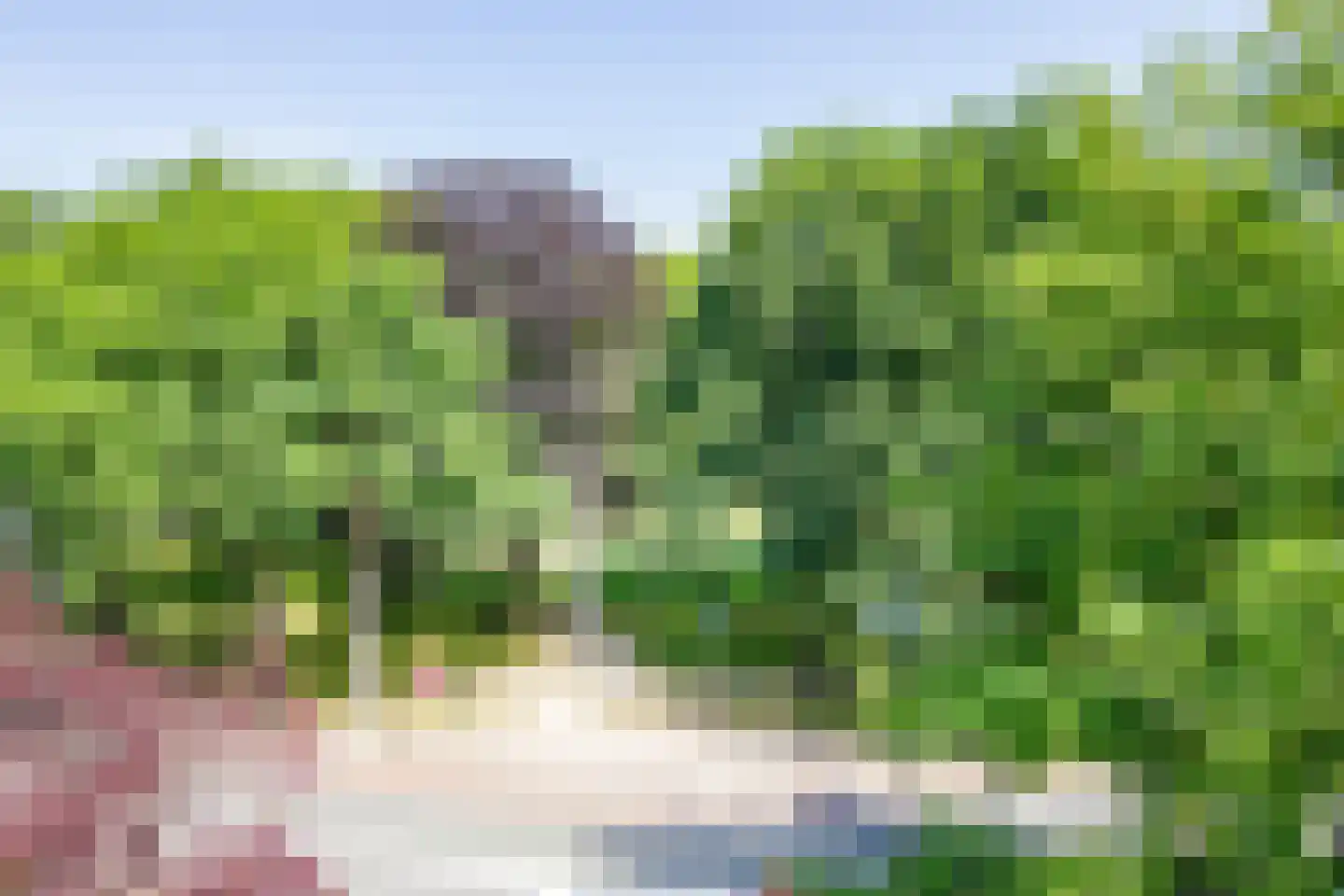Kenaupark 26 Haarlem thumbnail 55
