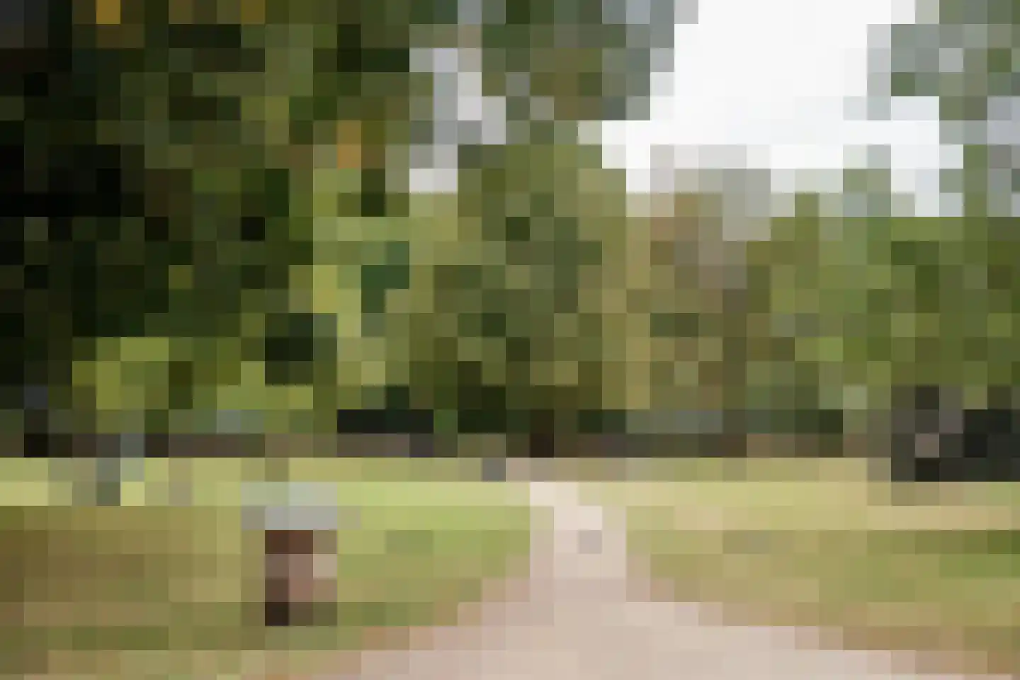 Kenaustraat 7 Haarlem thumbnail 35