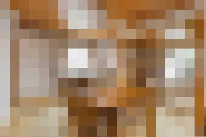 Kenbelstraatje 2 St. Willebrord thumbnail 11