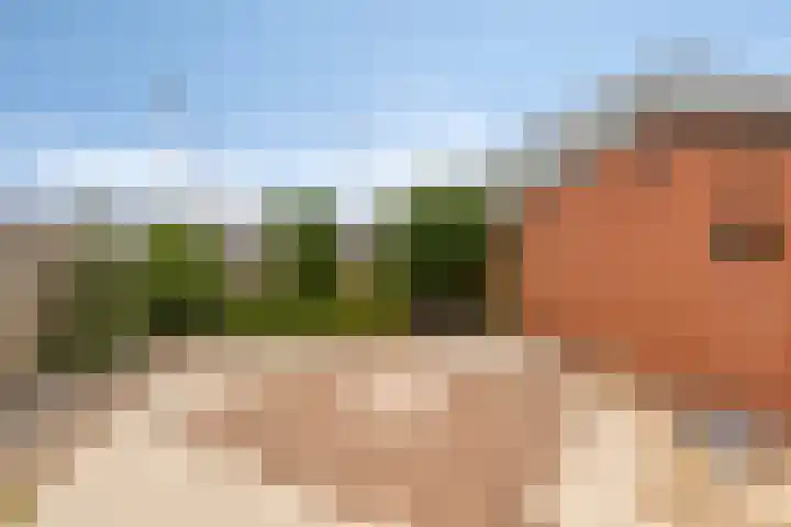 Kenbelstraatje 2 St. Willebrord thumbnail 4