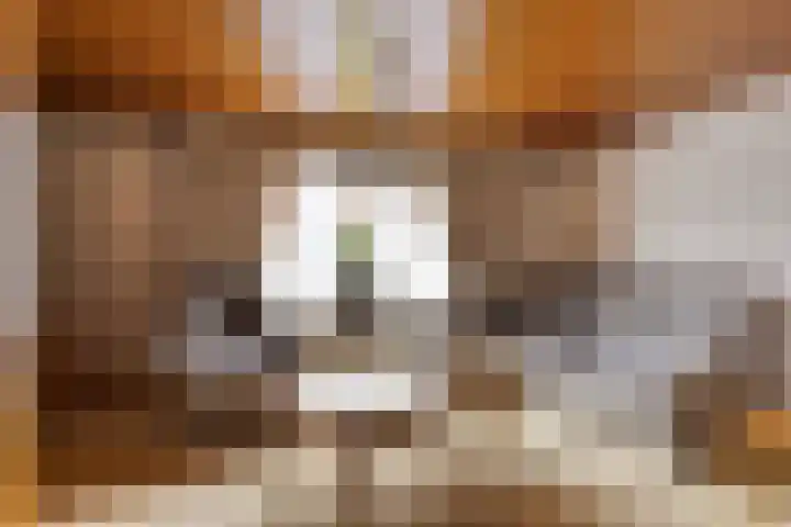 Kenbelstraatje 2 St. Willebrord thumbnail 7