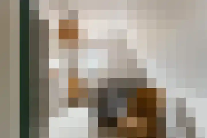 Kenbelstraatje 9 St. Willebrord thumbnail 32