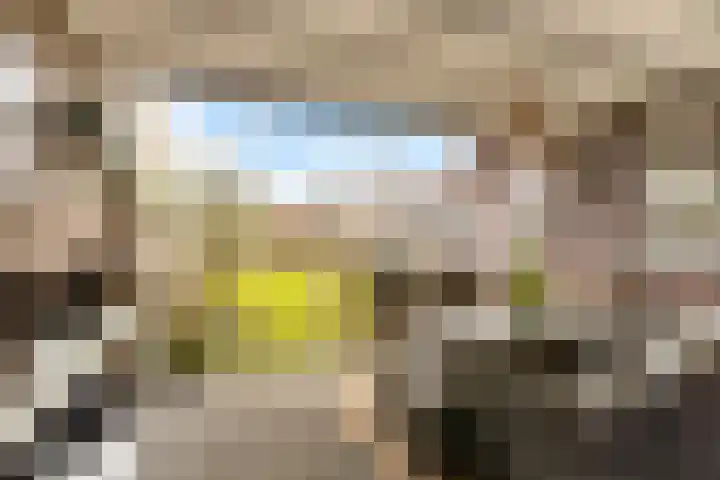 Kenbelstraatje 9 St. Willebrord thumbnail 35