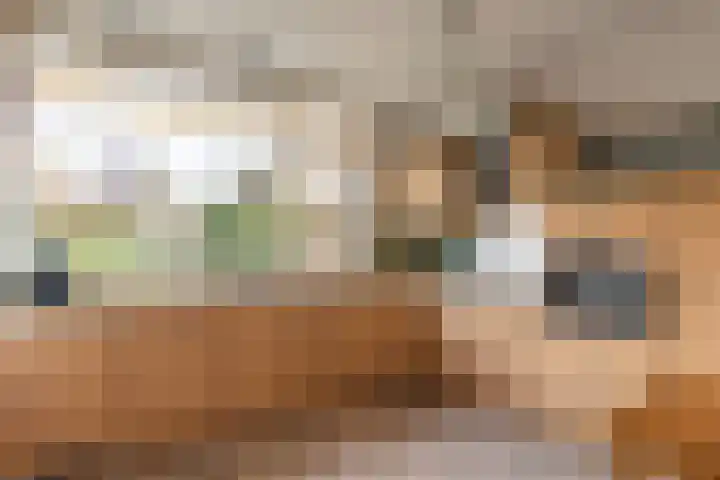 Kenemansstraat 8 Holten thumbnail 6