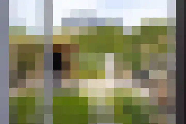 Kenenburgweg 24 Bleiswijk thumbnail 31