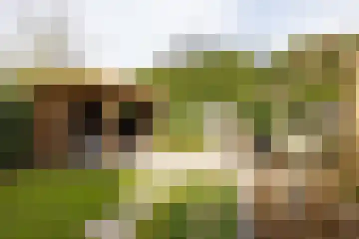 Kenenburgweg 24 Bleiswijk thumbnail 5