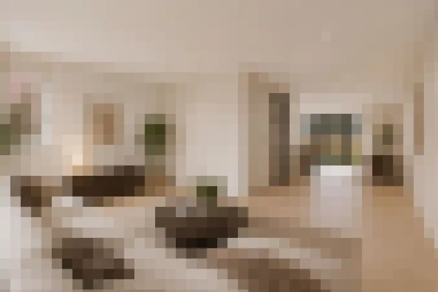 Keningslân 8 Burgum thumbnail 13
