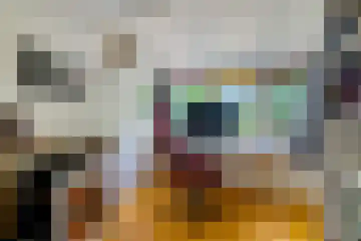 Kennebroeksweg 9 Glane thumbnail 30