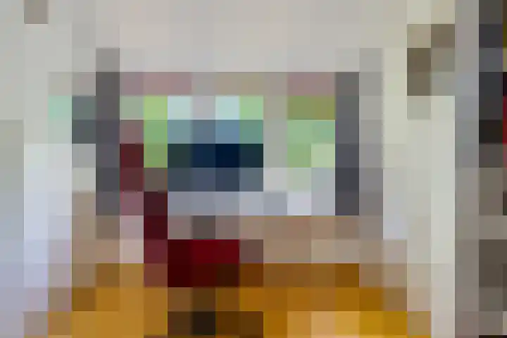 Kennebroeksweg 9 Glane thumbnail 31