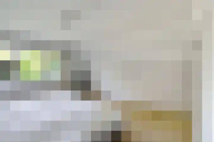 Kennebroeksweg 9 Glane thumbnail 32