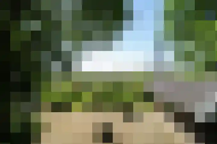 Kennebroeksweg 9 Glane thumbnail 39