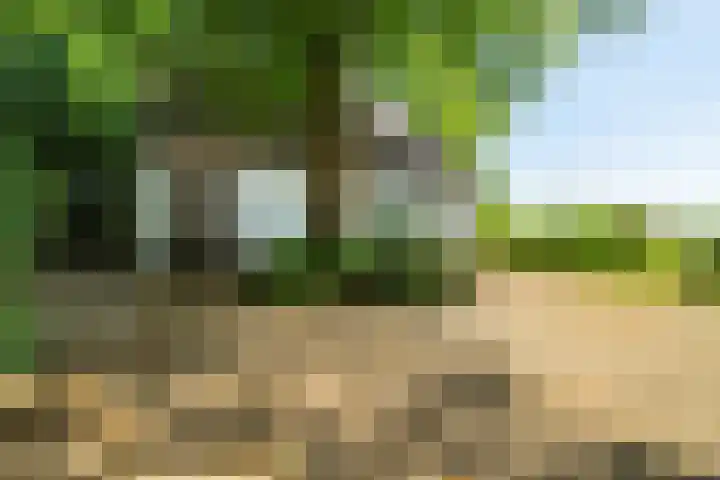 Kennebroeksweg 9 Glane thumbnail 40