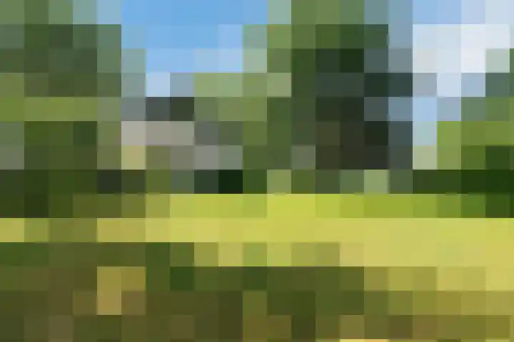 Kennebroeksweg 9 Glane thumbnail 54