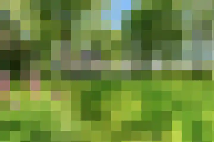 Kennebroeksweg 9 Glane thumbnail 59